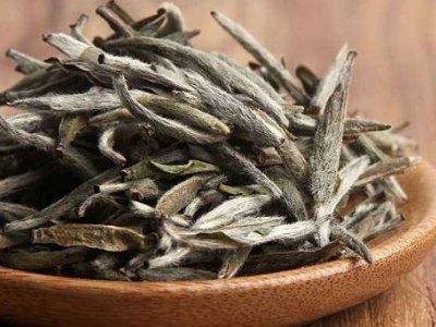 白茶有哪些品種排名，<a href=http://m.zzsas.com/fenlei/baicha/ target=_blank class=infotextkey>白茶的種類</a>大全