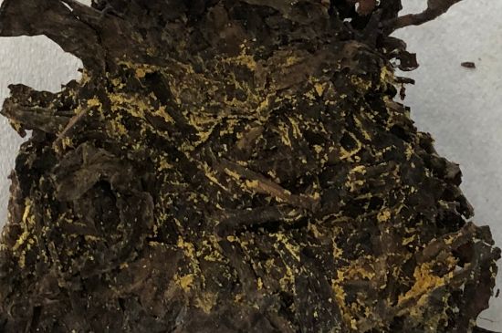 怎么知道涇渭茯茶是否變質(zhì)，茯磚茶金花和發(fā)霉的區(qū)別