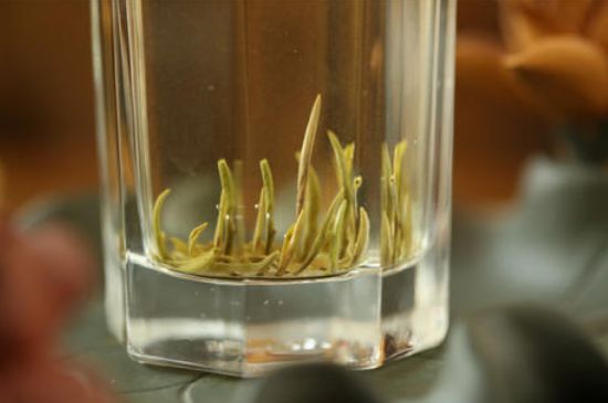 踏雪蘭妃是什么茶，踏雪蘭妃是哪里的茶葉?