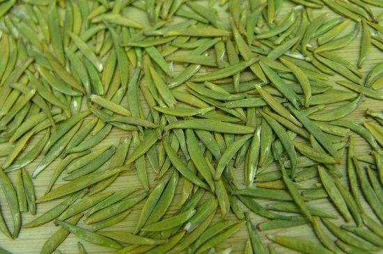 竹葉青和毛尖的區(qū)別，毛尖和竹葉青怎么分辨？