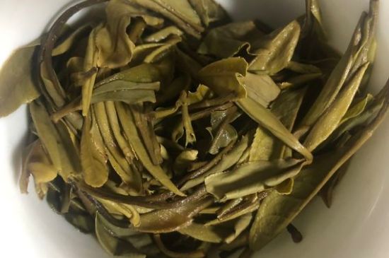 三年白茶賽砒霜，這是真的嗎？