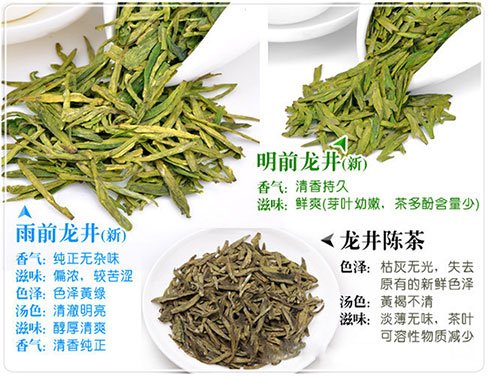 西湖龍井新茶和陳茶的區(qū)別，怎么區(qū)分龍井新茶和舊茶？