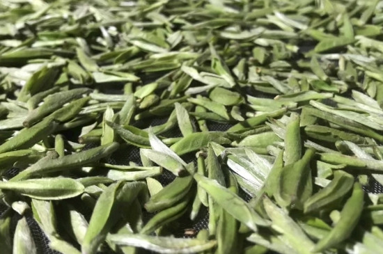 白毫銀針年份久的有什么香，陳年白毫銀針的香氣