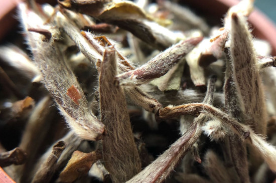 白毫銀針年份越久越好嗎，銀針白毫是否越陳越好