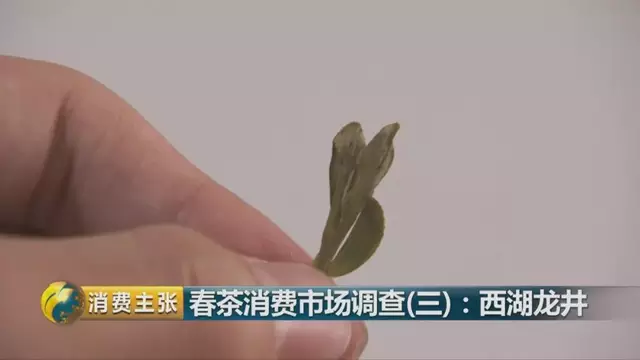 龍井群體種和43號(hào)的區(qū)別圖片，龍井43和群體種哪個(gè)好喝？