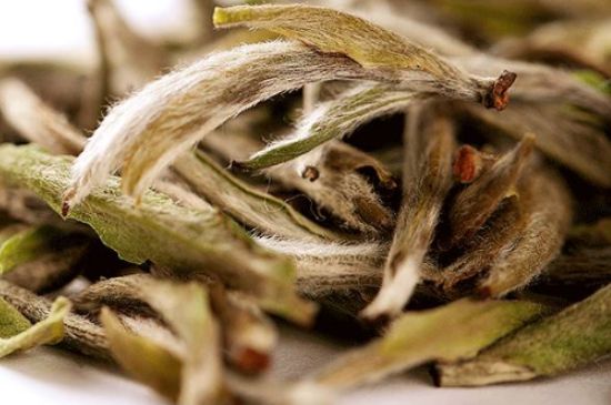 荒野銀針有什么特點(diǎn)，荒野銀針的味道口感咋樣？