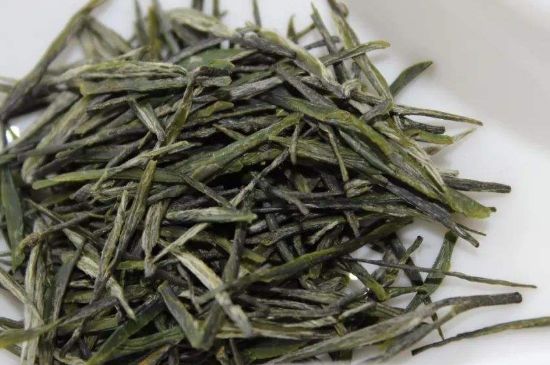 高山云霧茶屬于什么茶，高山云霧茶哪里的最好