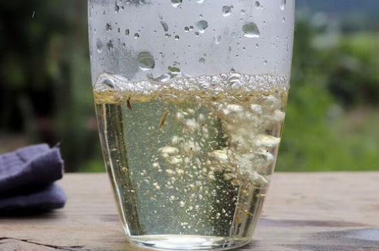 三年白茶賽砒霜，這是真的嗎？