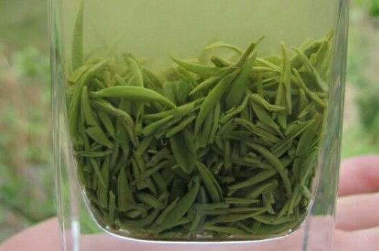 什么綠茶茶葉唇齒留香，哪個品種綠茶香氣好？