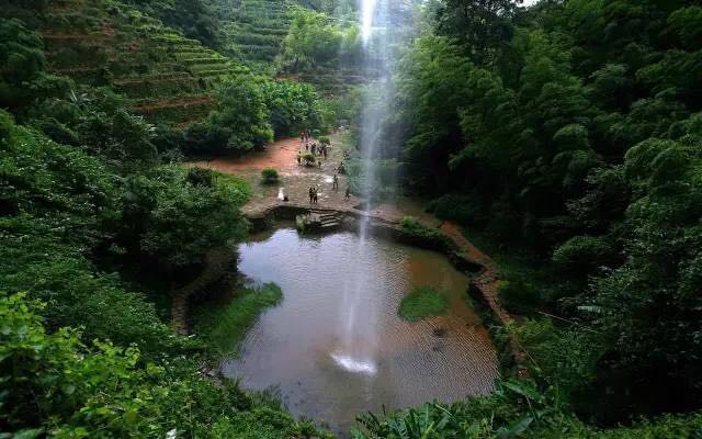 武夷山為什么盛產(chǎn)茶葉，武夷山茶為什么好喝？