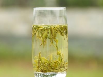 霍山黃芽算是好茶嗎，霍山黃芽屬于什么茶？