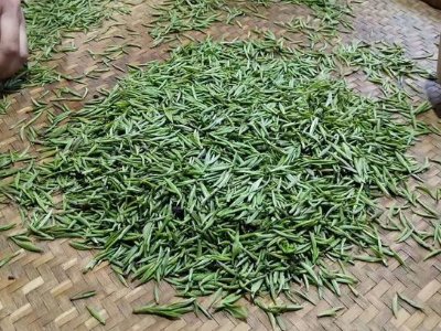 金駿眉幾年可以算陳茶，金駿眉新茶好還是老茶