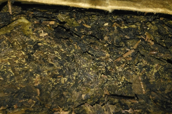 黑茶茯茶保存五大忌，茯茶收藏的注意事項(xiàng)