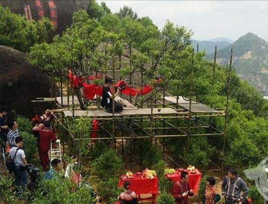 宋種一號(hào)價(jià)值為什么高，鳳凰單樅宋種1號(hào)價(jià)格與產(chǎn)量多少？