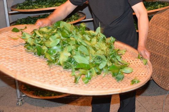 鐵觀音加香精騙局，鐵觀音的香味是添加香精了嗎？