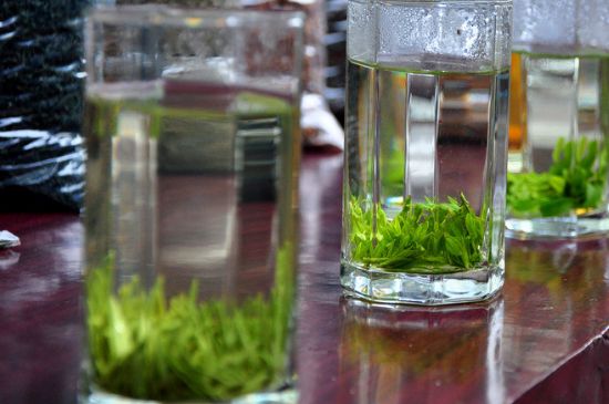 綠茶放了三年還能喝嗎，綠茶放久了喝了會(huì)怎樣