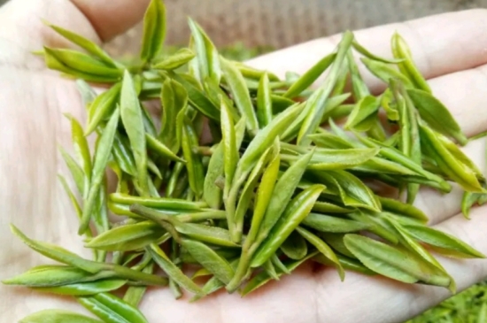 什么是雪前龍井茶，明前、雨前、雨后龍井有什么區(qū)別？