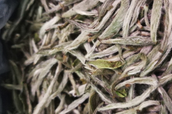 白毫銀針年份越久越好嗎，銀針白毫是否越陳越好