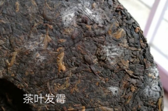 西湖龍井茶毫和發(fā)霉區(qū)別圖片，長霉的龍井茶葉會是什么樣？